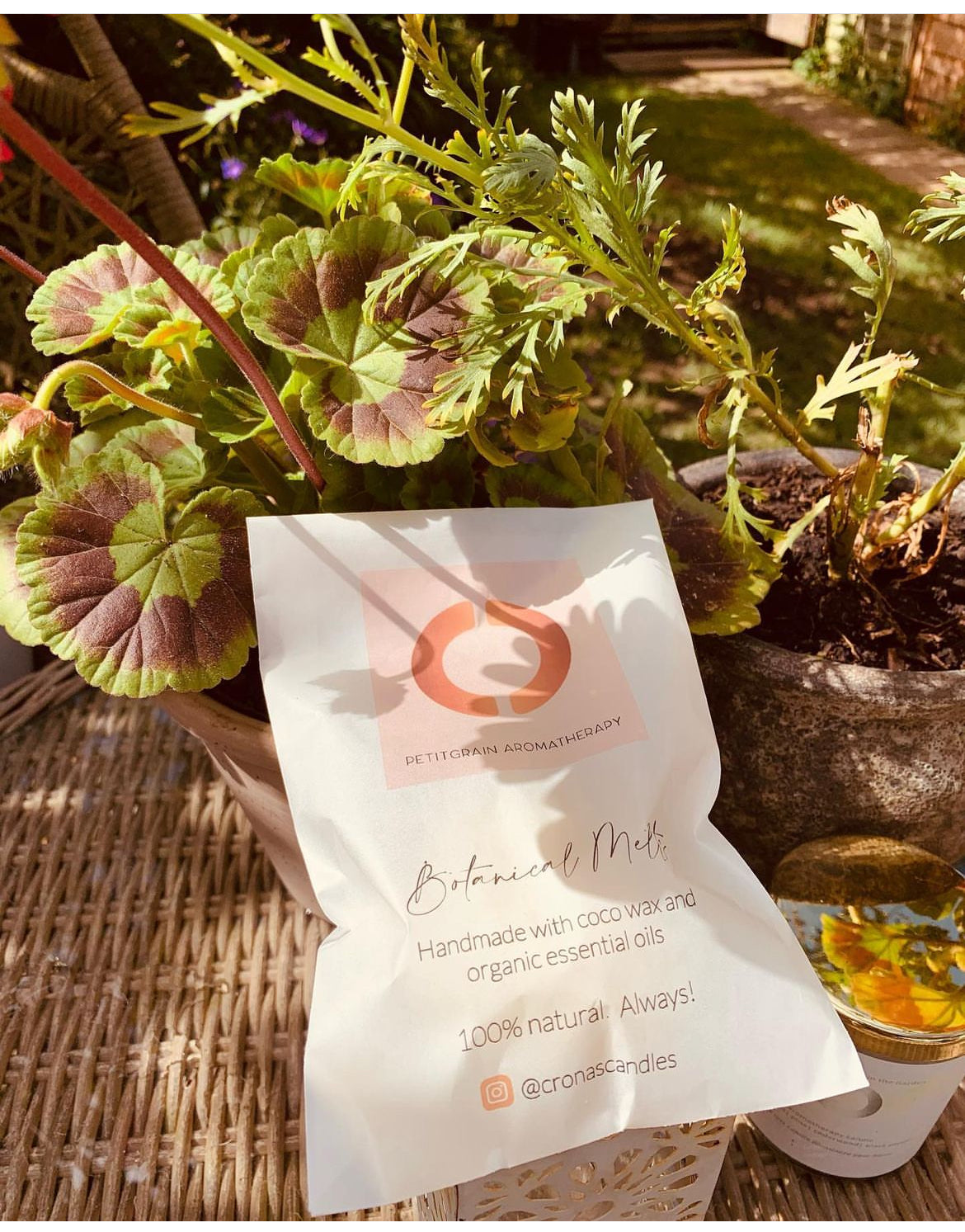 Focus Aromatherapeutic Pure Melt