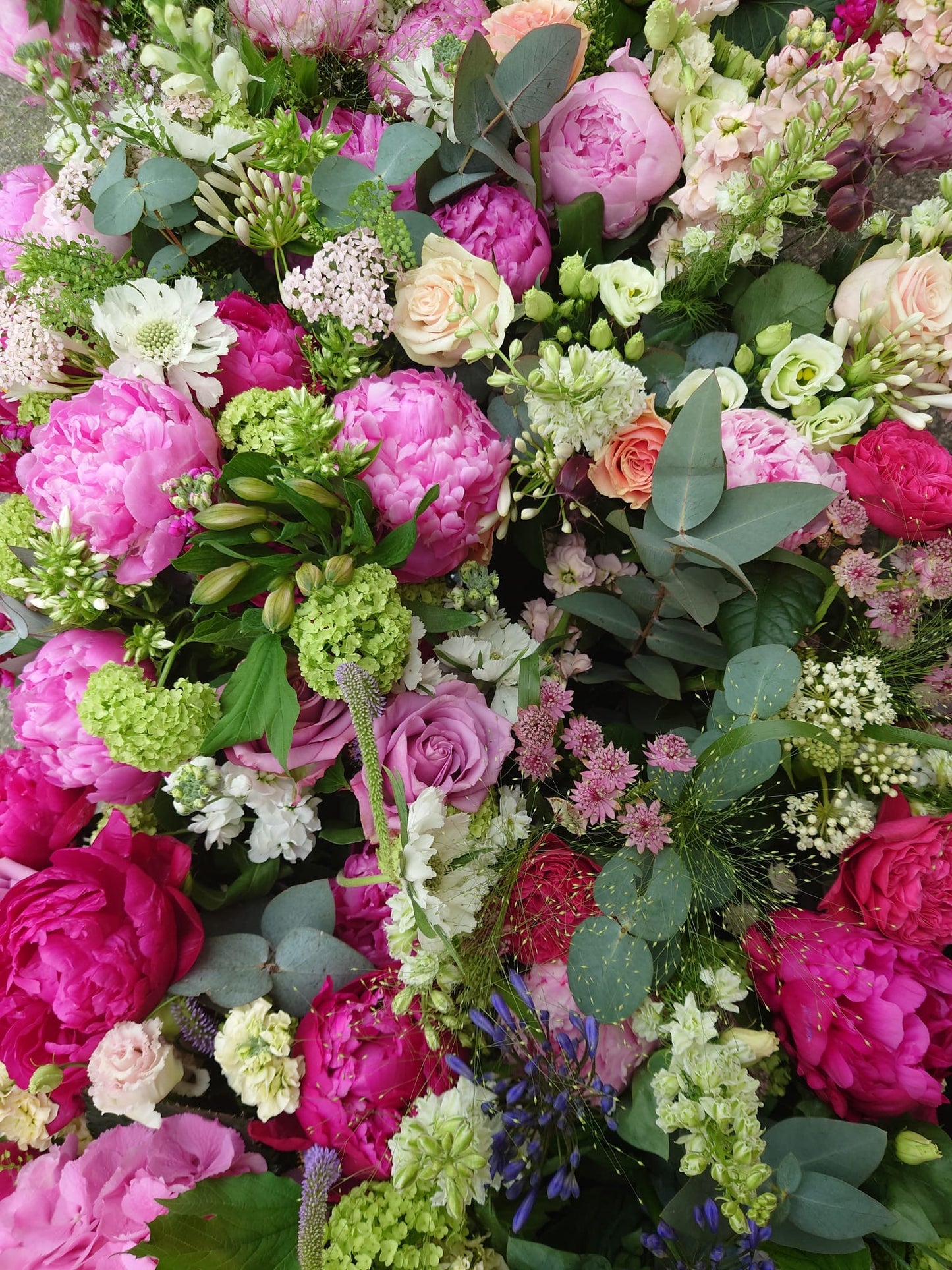 Botanical Summer Workshop Temple Guiting