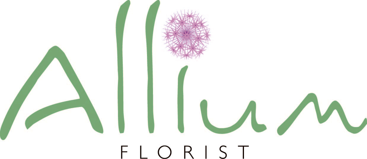 Botanical Summer Workshop Temple Guiting